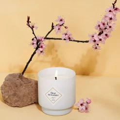 Fabrique de Styles Bougie Bijou Bracelet Or bille noire Fleur de cerisier 45h* Bougies Parfumées