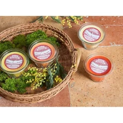 Fabrique de Styles Bougie senteur moelleux pomme d12 - Bougie Gourmande* Bougies Parfumées