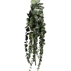 Fabrique de Styles Branchage artificiel h70cm - Eucalyptus* Fleurs Et Plantes Artificielles