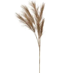 Fabrique de Styles Branchage pampa h75cm - Pampa* Fleurs Et Plantes Artificielles