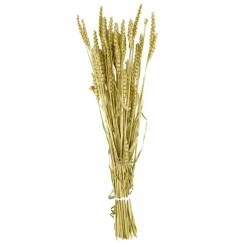 Fabrique de Styles Branche triticum h70cm* Fleurs Séchées
