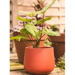 Fabrique de Styles Cache pot en céramique terracotta d13.5cm* Cache-pots Et Supports