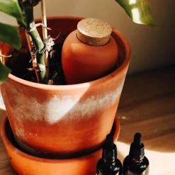 Fabrique de Styles Diffuseur d'eau en argile 25cl - Olla* Accessoires