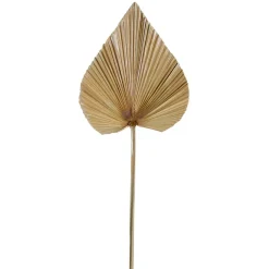 Fabrique de Styles Feuille de palmier h62cm - Golden* Fleurs Séchées