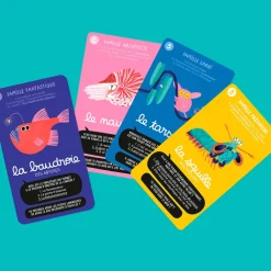 Fabrique de Styles Jeu de 7 familles - super bestioles* Jeux