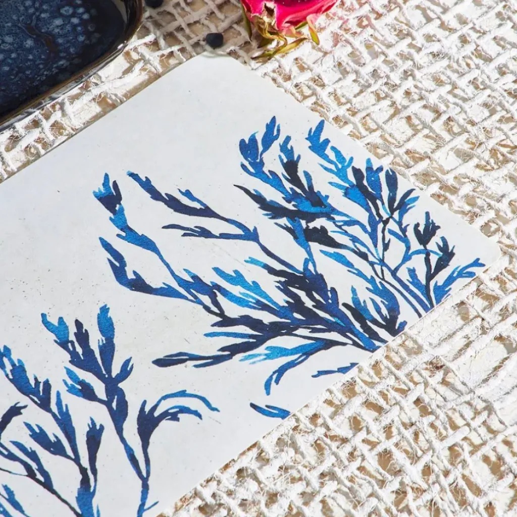 Fabrique de Styles Set de table corail en vinyle 30x45cm - Corail* Sets De Table