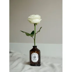 Fabrique de Styles Sirop Brut de Rose - 400 ml* Boissons Non Alcoolisés